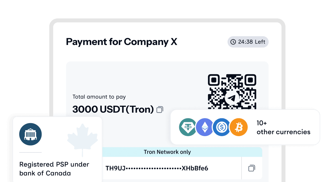 Crypto payment processor preview