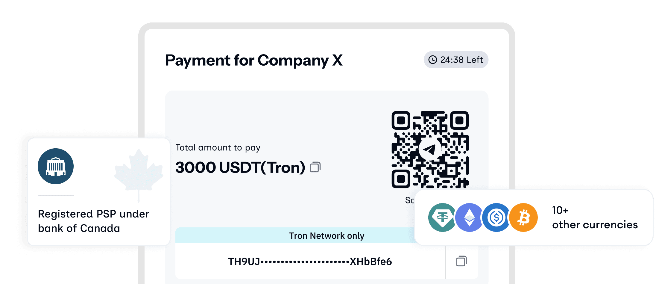 Crypto payment processor preview